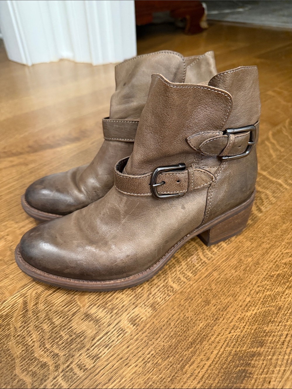 Sesto Meucci Taupe Leather Ankle Booties with Buckle Straps